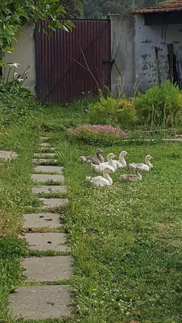 ボンバラルGranja Mgアパートメント エクステリア 写真