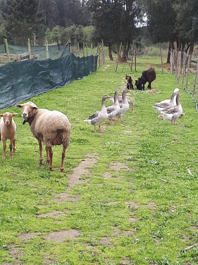 ボンバラルGranja Mgアパートメント エクステリア 写真
